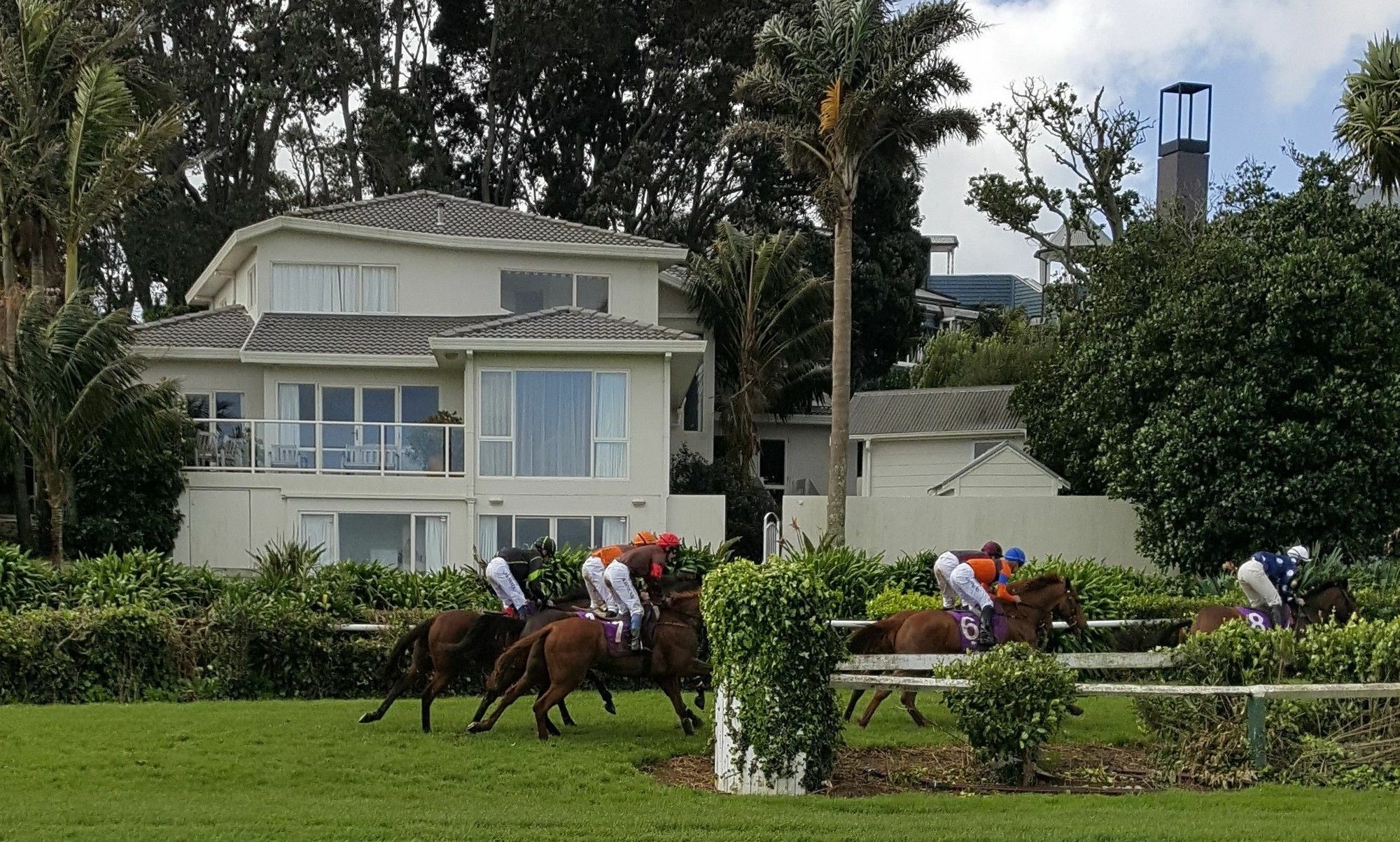 דירות אוקלנד Racecourse Deluxe מראה חיצוני תמונה