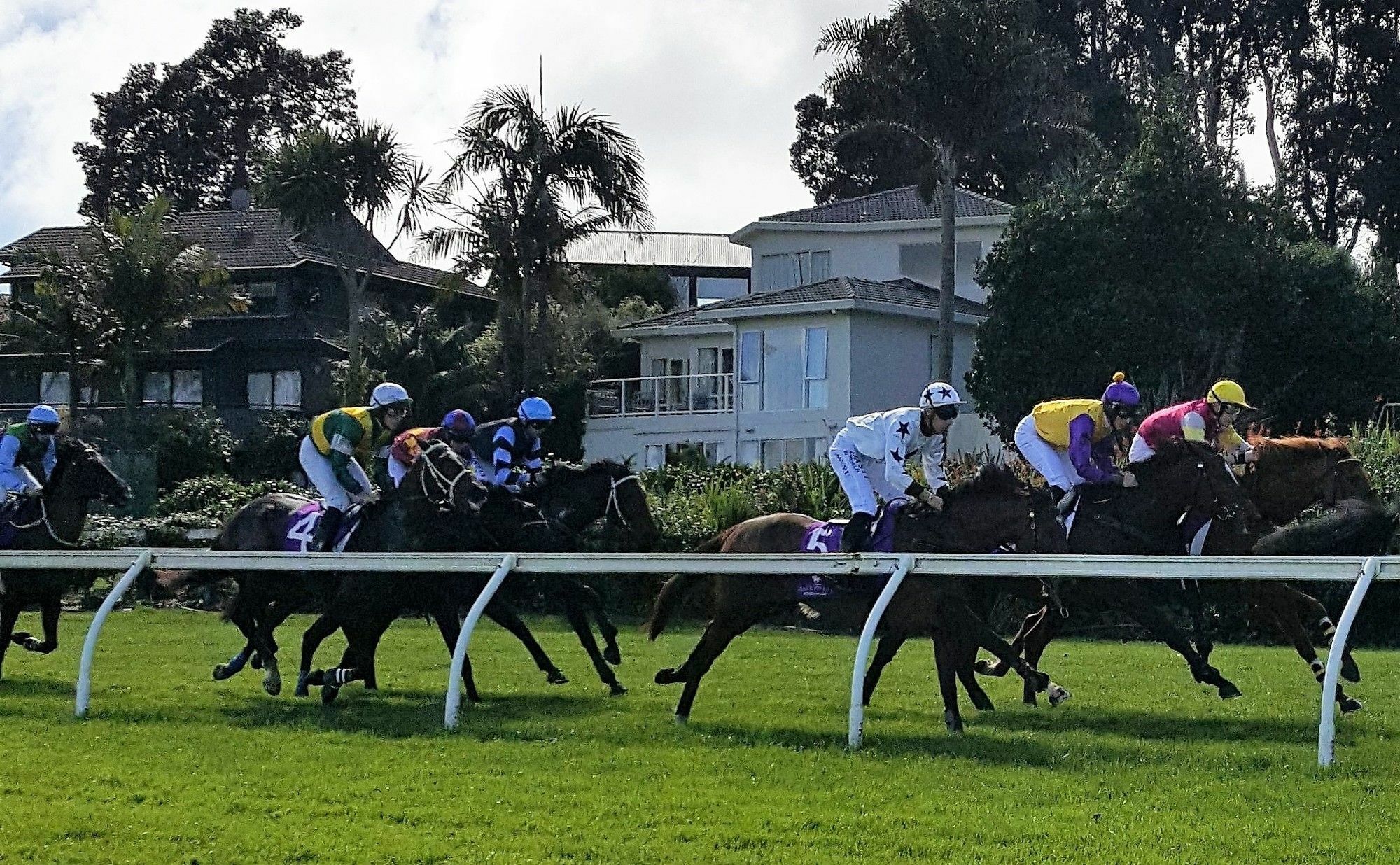 דירות אוקלנד Racecourse Deluxe מראה חיצוני תמונה